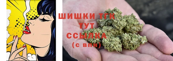 прущие грибы Лиски