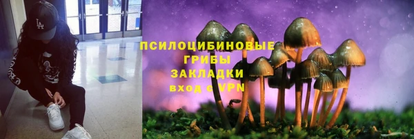 амф Долгопрудный