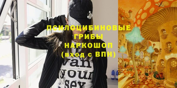 прущие грибы Лиски