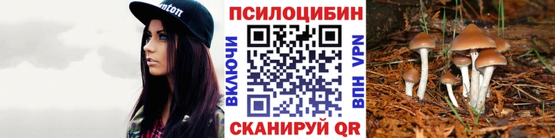 Псилоцибиновые грибы Psilocybe  купить закладку  Малгобек 