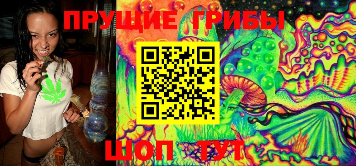 Псилоцибиновые грибы мухоморы Малгобек