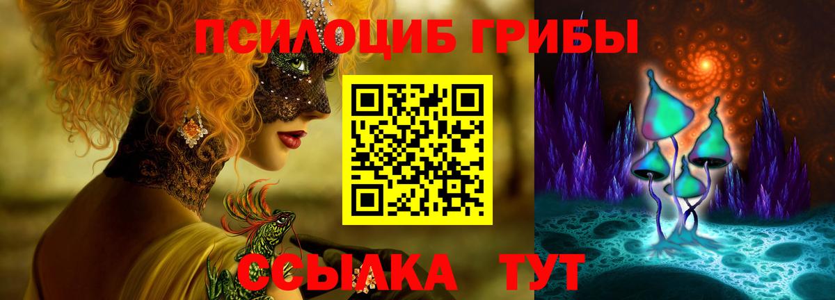 Галлюциногенные грибы мицелий  где можно купить наркотик  Малгобек  Вход с VPN 