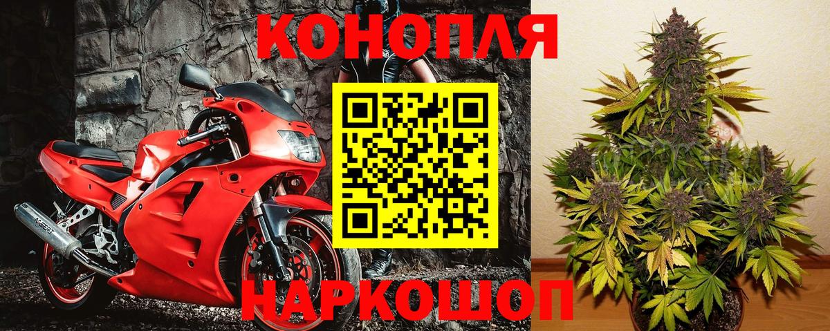 Марихуана конопля  Бошки марихуана индика  Малгобек  Канабис гибрид 